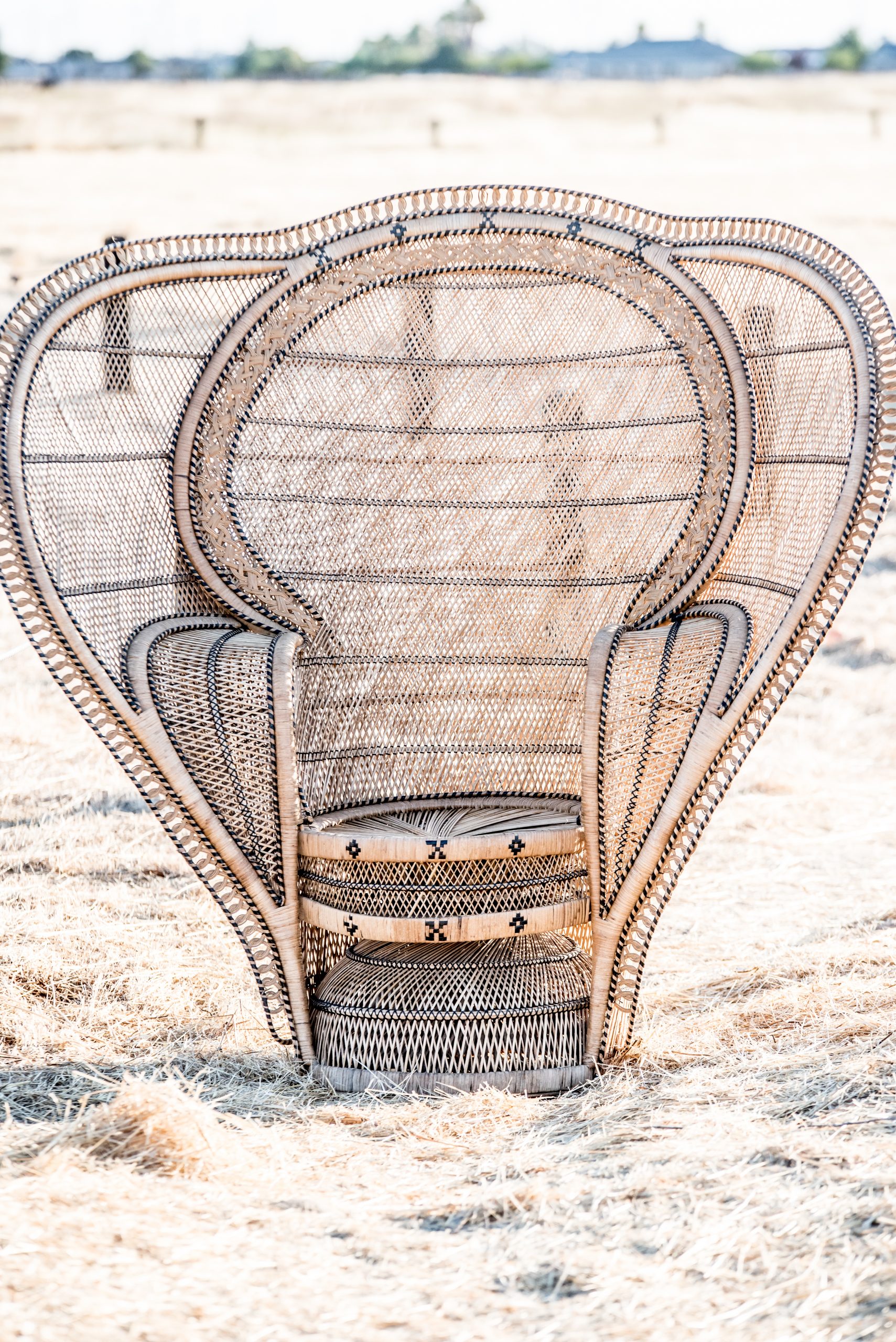 2020-07WhiteElephantCo31