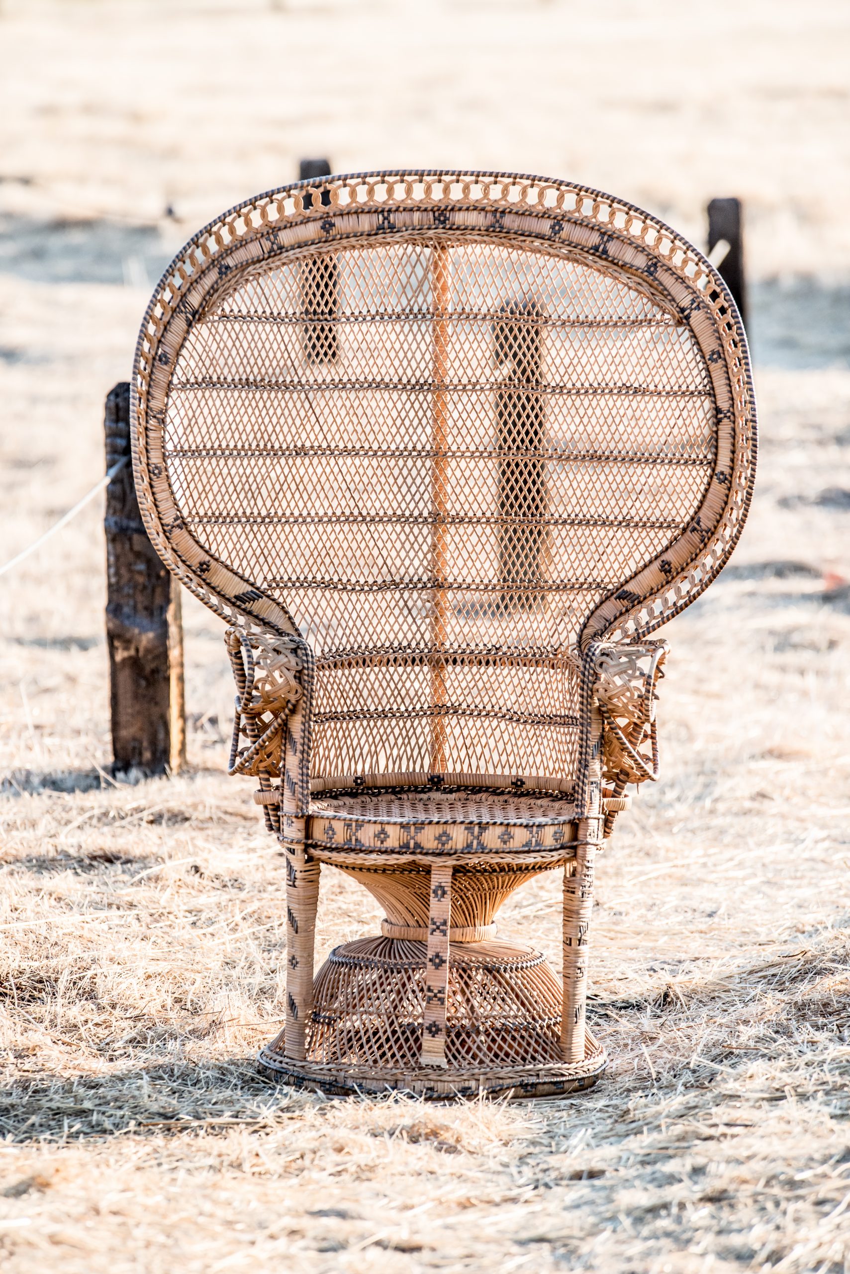 2020-07WhiteElephantCo25