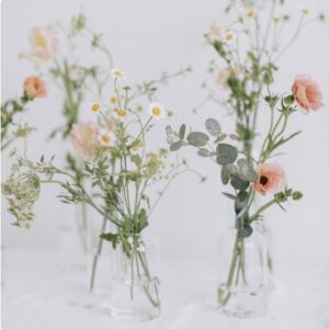 Clear Glass Bud Vases (Small)