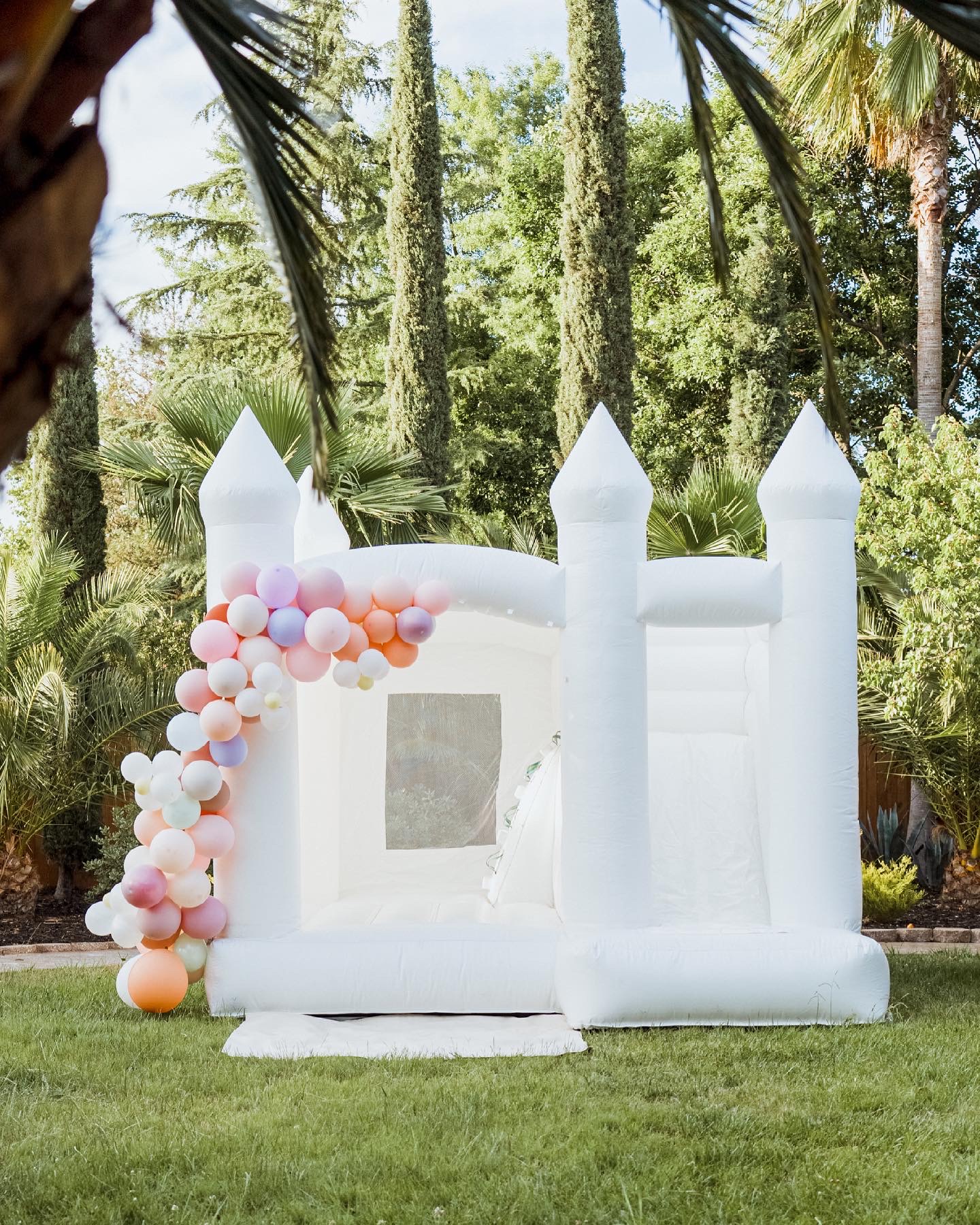 DF8A3431-94DE-406C-9CAE-F5586B2322A0