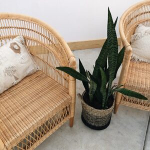 Rattan Accent Chair