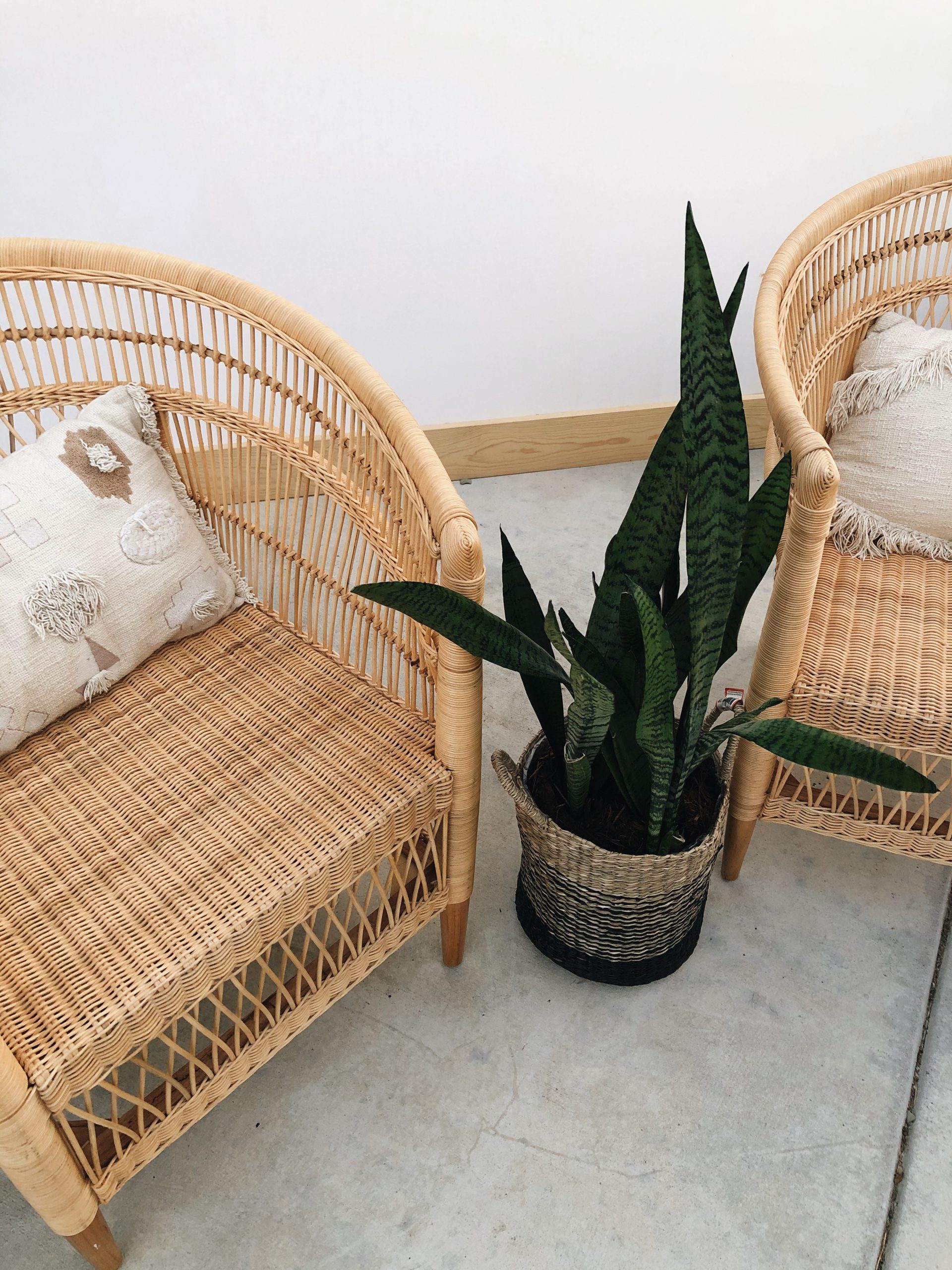 Processed with VSCO with a6 preset