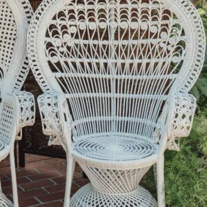 "Olin" White Peacock Chair