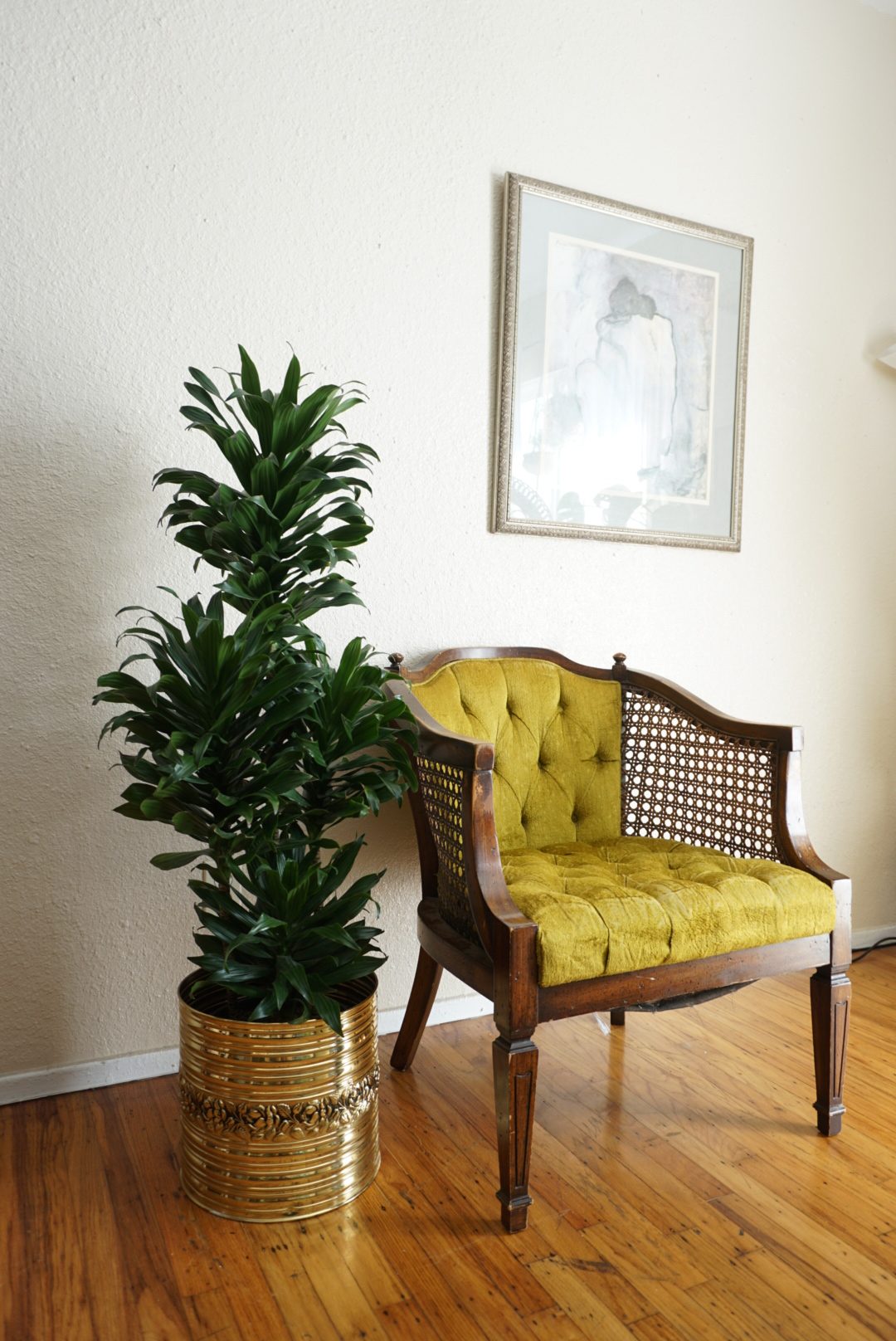 46E1A168-7EF7-4E02-AC41-85676CB73B15 46E1A168-7EF7-4E02-AC41-85676CB73B15