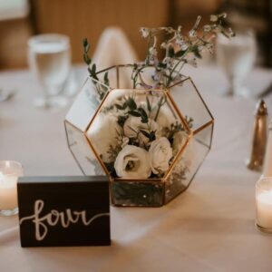 Mini Geometric Terrariums