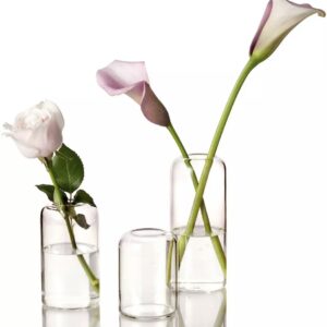 Clear Bud Vases (Tallest)