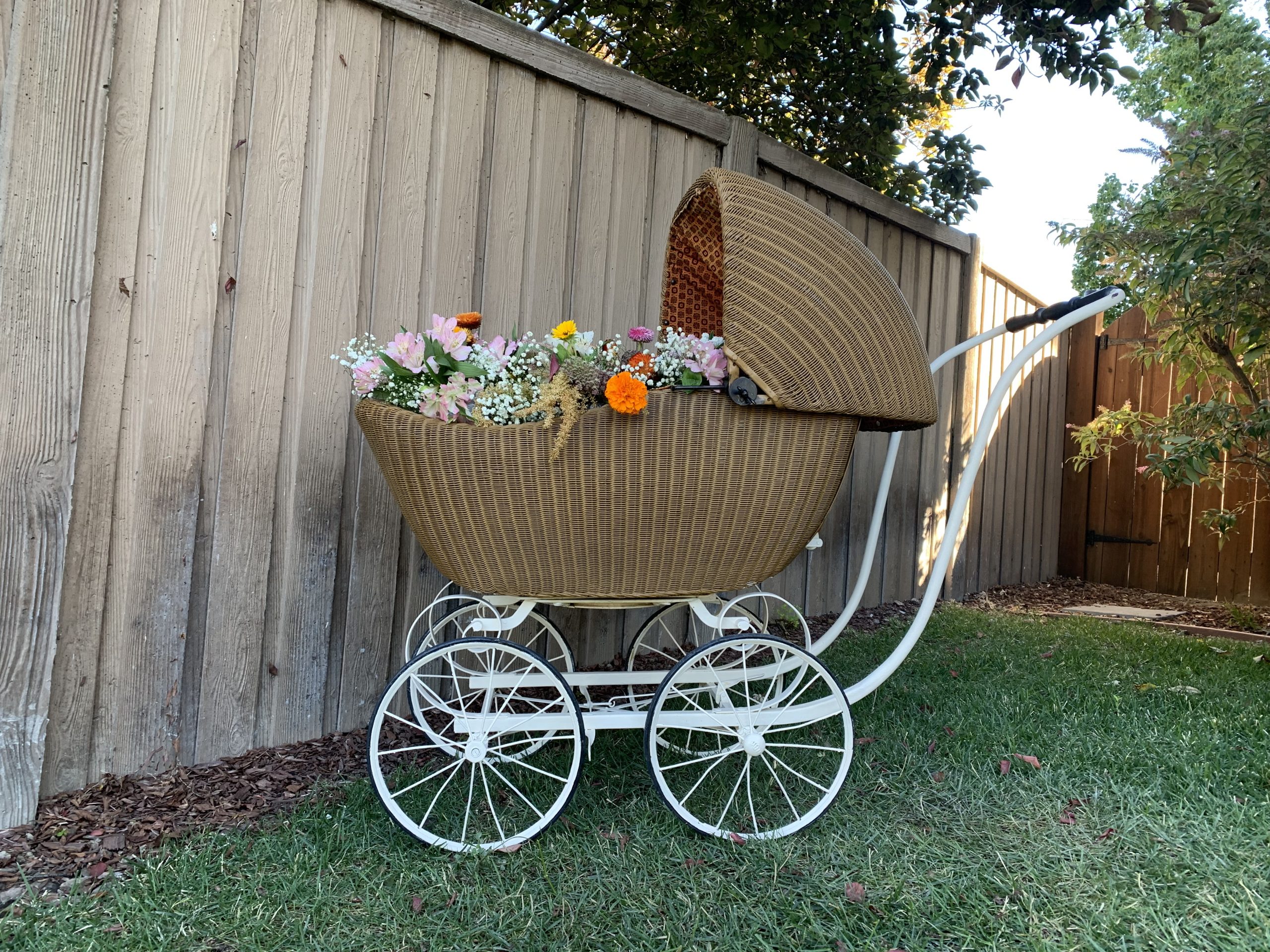 A85006AC-1086-4C2C-B981-E044B2434C76