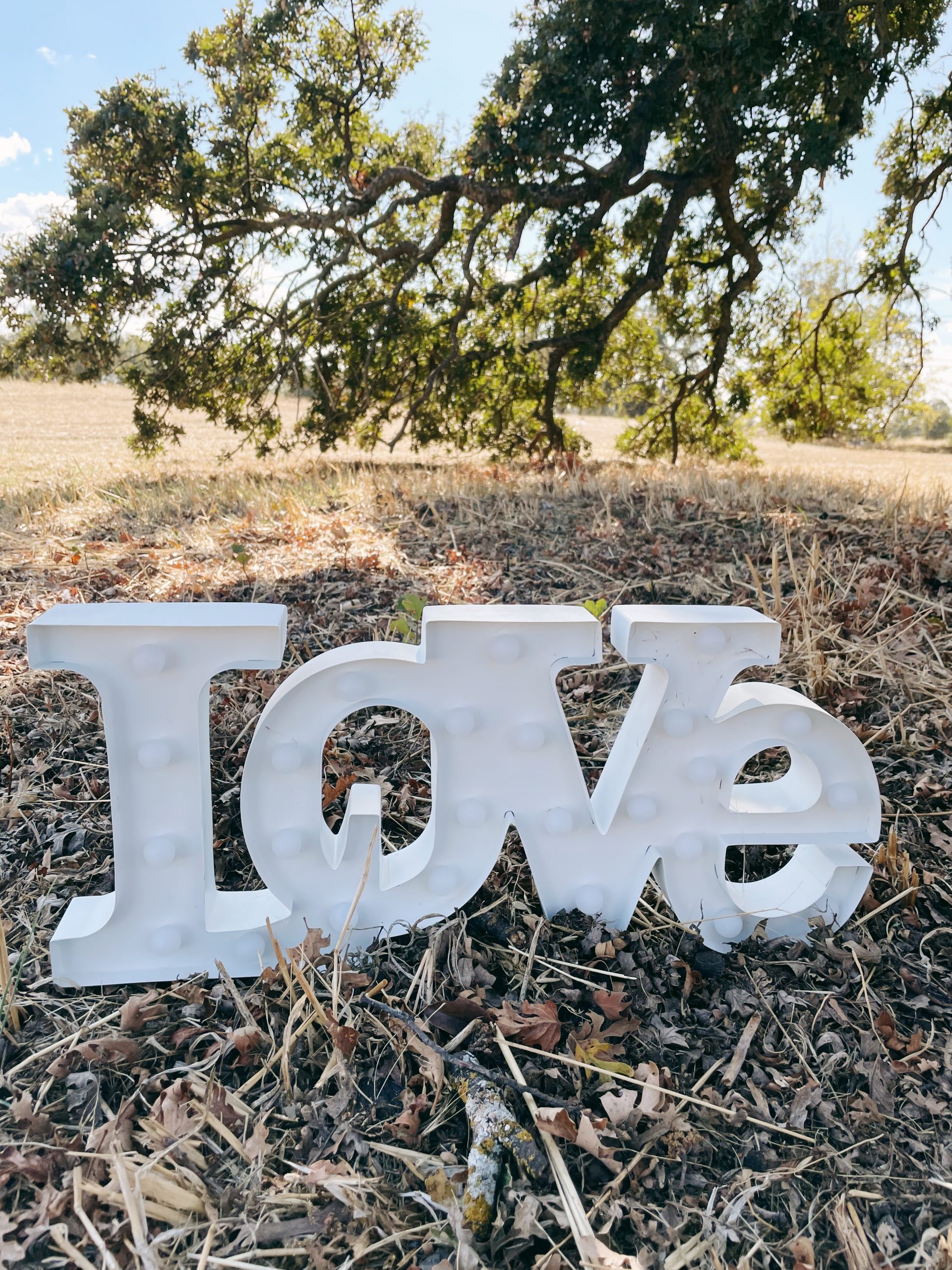 Processed with VSCO with 6 preset