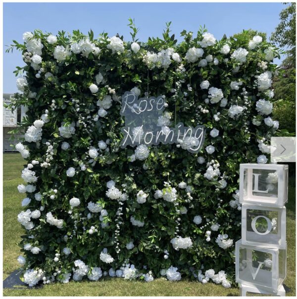 8ABEF5FE-1CF4-45A1-80A5-26DA501A5D29