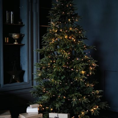 Eventlyst Exclusive | Happy New Year