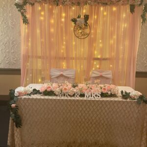 Backdrop Dusty Rose Curtains