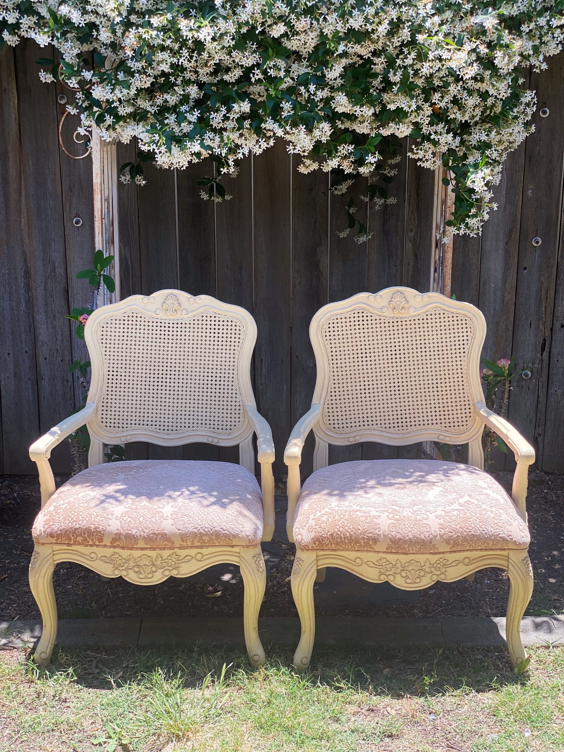 591102BA-36C6-4041-BD6D-5A49F32FA151 591102BA-36C6-4041-BD6D-5A49F32FA151